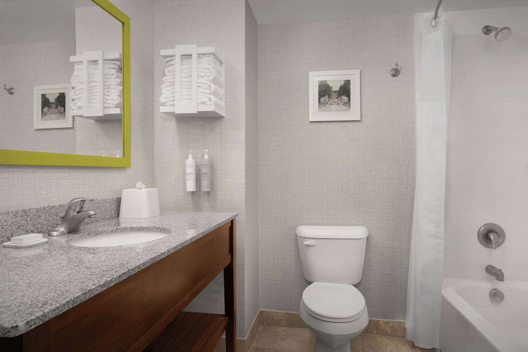 Bathroom 4, Hampton Inn & Suites Lynchburg, Campbell