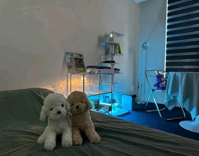 Bedroom 22