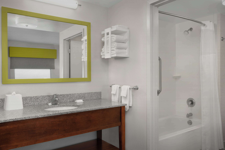 Bathroom 4, Hampton Inn & Suites Lynchburg, Campbell