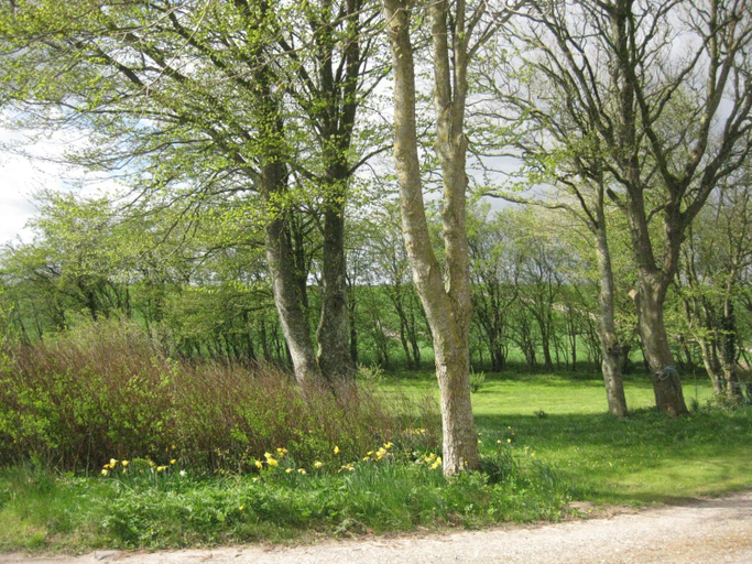 Others 4, Feriegarden i Floutrup, Skive