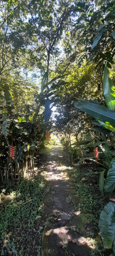 Others 5, Casa El Cedro, Charalá