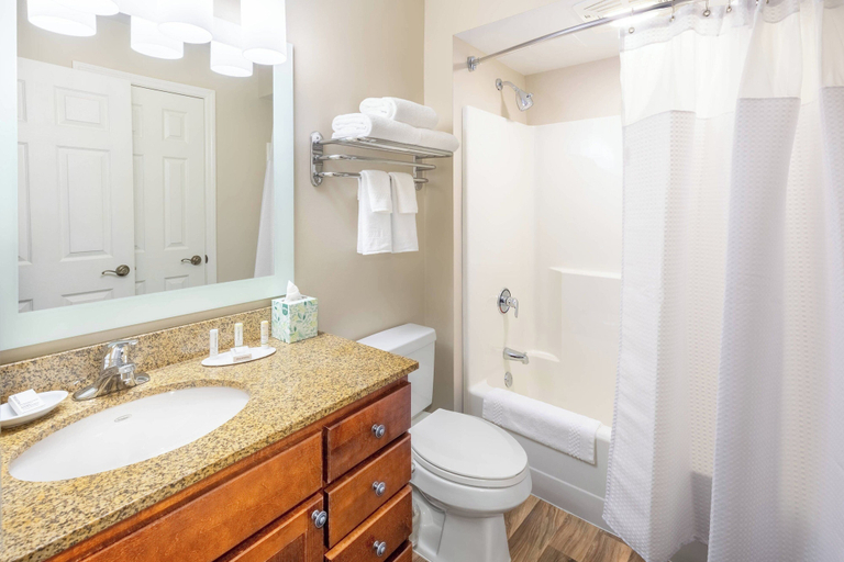 Bathroom 3, TownePlace Suites Bowie Town Center, Prince George's