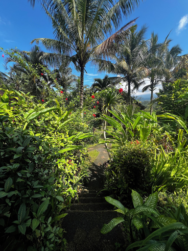 Scenery 8