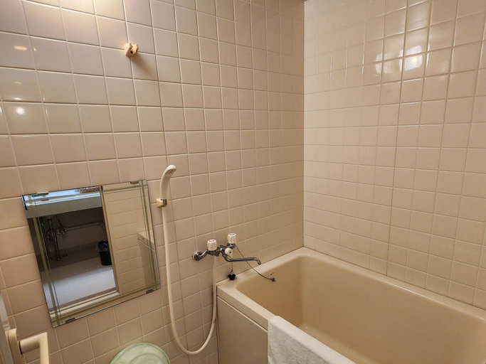 Bathroom 2, Hotel Cetus Royal, Higashiizu
