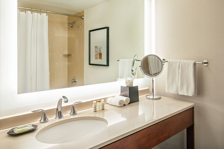 Bathroom 4, Sheraton Boston Needham Hotel, Norfolk
