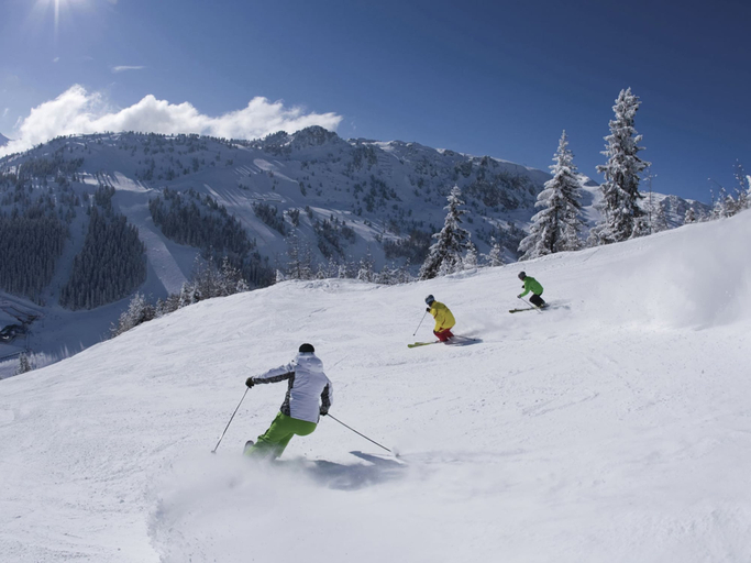 Others 4, Spacious Apartment in Ramsau im Zillertal near Ski Area, Schwaz