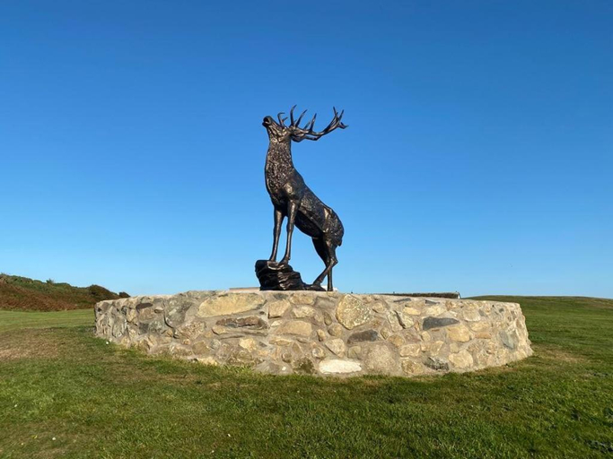 Others 4, Burrowhead Holiday Village, Dumfries and Galloway