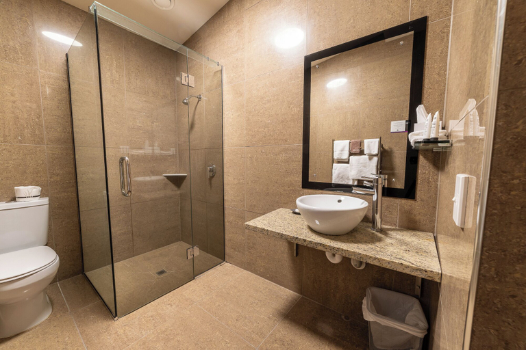 Bathroom 4, 315 Euro Motel & Serviced Apartments, Dunedin