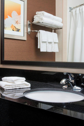 Bathroom 5, Fairfield Inn & Suites By Marriott Ashland, Boyd