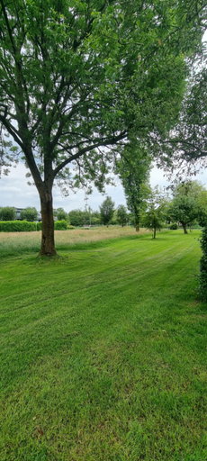 Others 2, Beautiful renovated Farmhouse, Wijdemeren