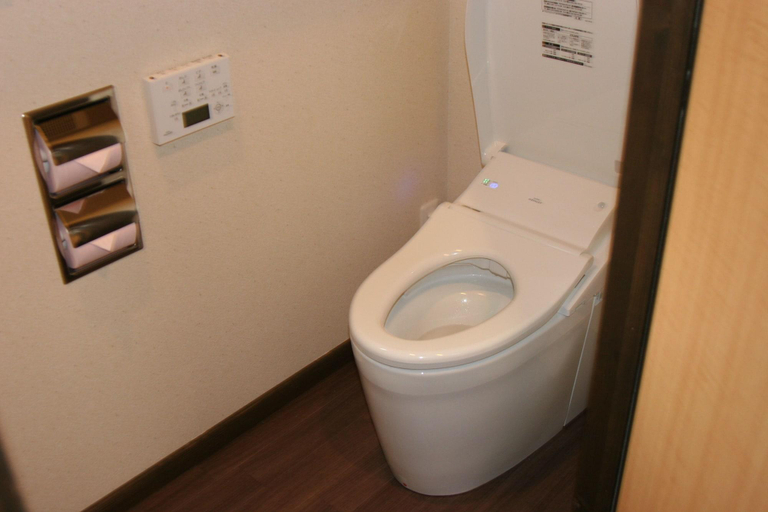 Bathroom, Hatago Sakura, Kokonoe