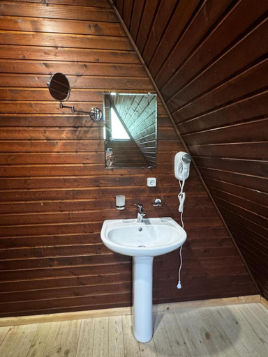 Bathroom 3, Villa Sadgeri, Borjomi