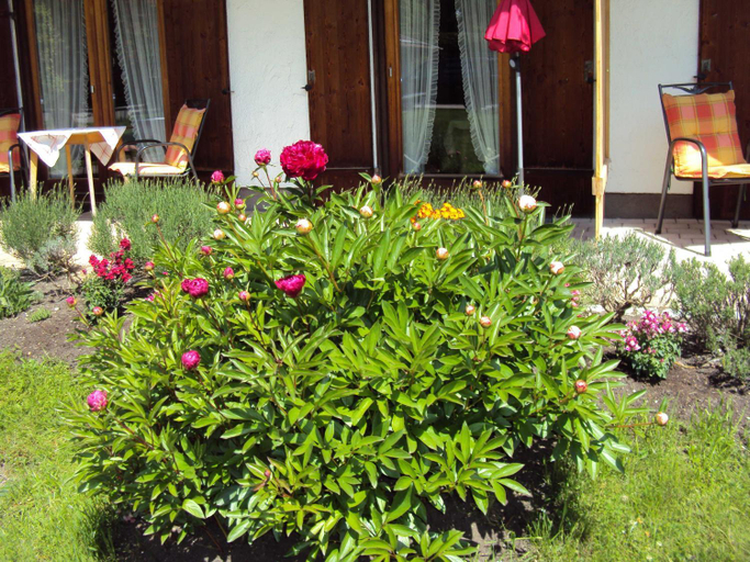 Others 3, Gastehaus Fischer, Miesbach