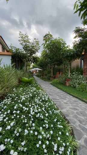 Scenery 8