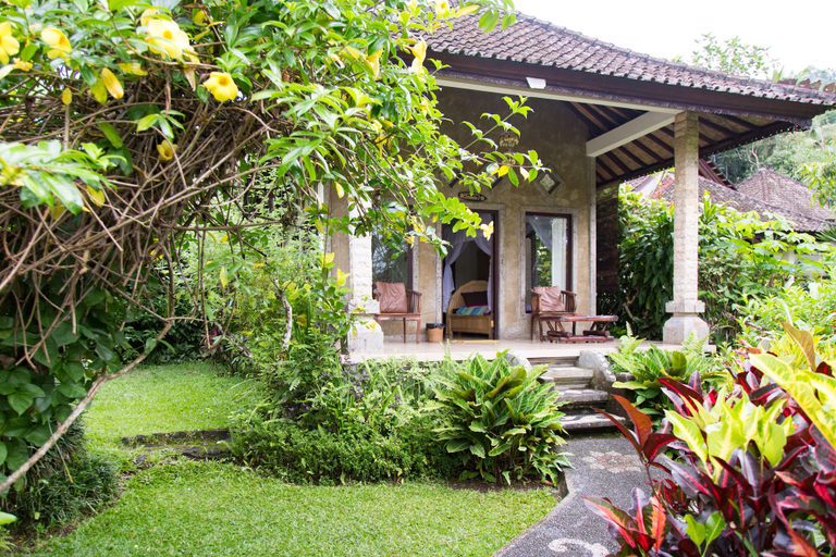 Scenery 15