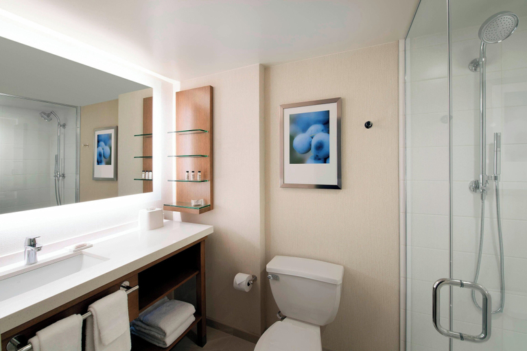 Bathroom 5, Delta Hotels by Marriott Seattle Everett, Snohomish