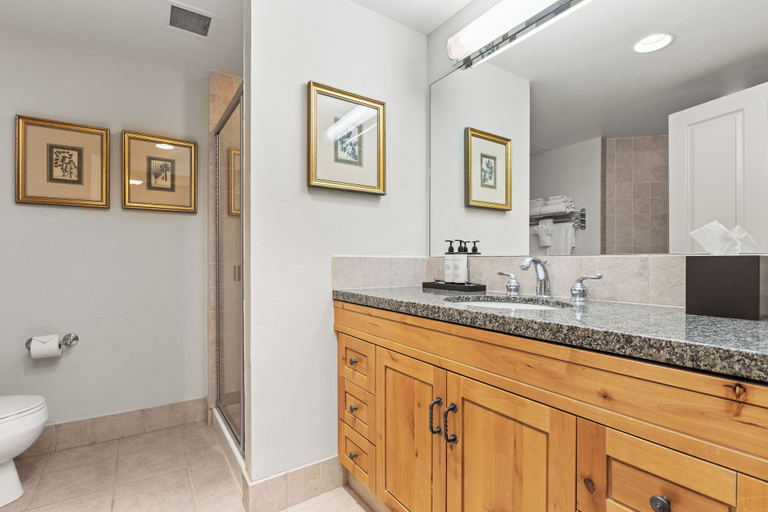 Bathroom 5, The Steamboat Grand, Routt