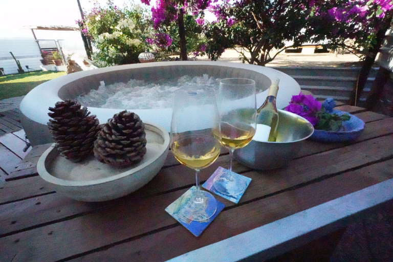 Food & Drinks 5, Santerra, Guadalupe Valley, Ensenada
