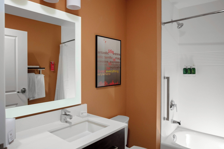 Bathroom 4, TownePlace Suites by Marriott Gainesville, Hall