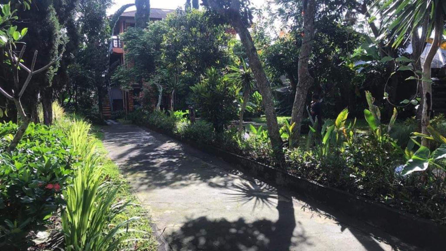 Scenery 1