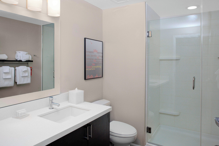 Bathroom 4, TownePlace Suites by Marriott Albany, Dougherty