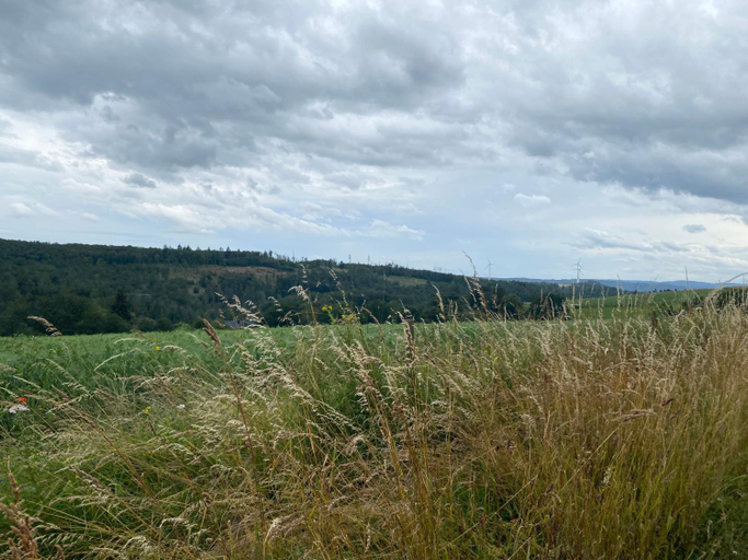 Others 2, Landhof PAU, Rheingau-Taunus-Kreis