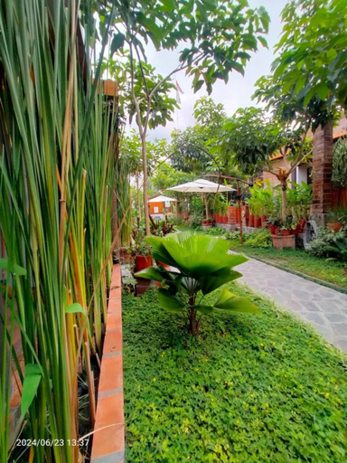 Scenery 5
