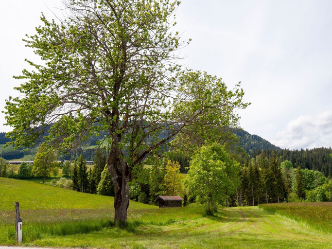 View from property 2, Holiday Home Brixen Valley Ski Bus Access, Kitzbühel