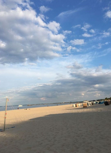 Beach 4, Wood in Zempin/usedom, Vorpommern-Greifswald