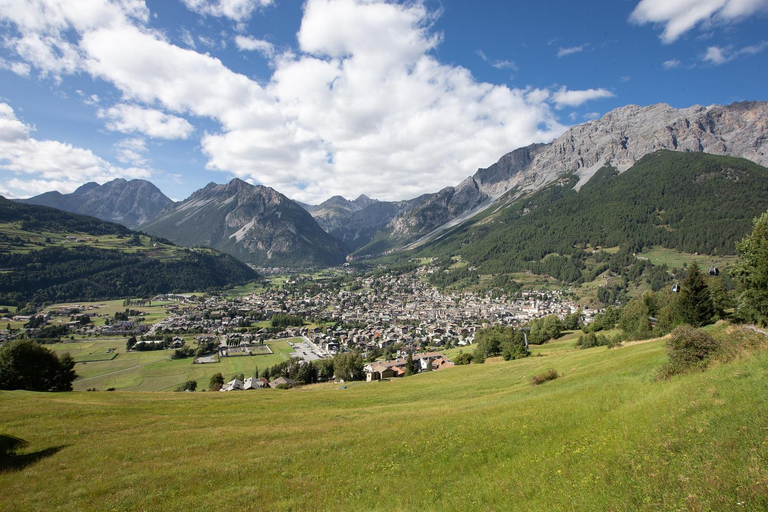 Others 5, Chalet Heidi, Sondrio