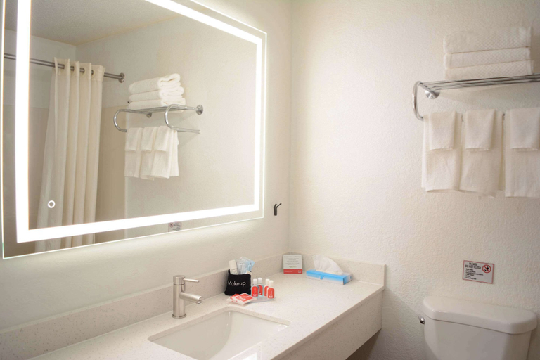Bathroom 4, Econo Lodge Cleveland Southeast - Kent, Portage