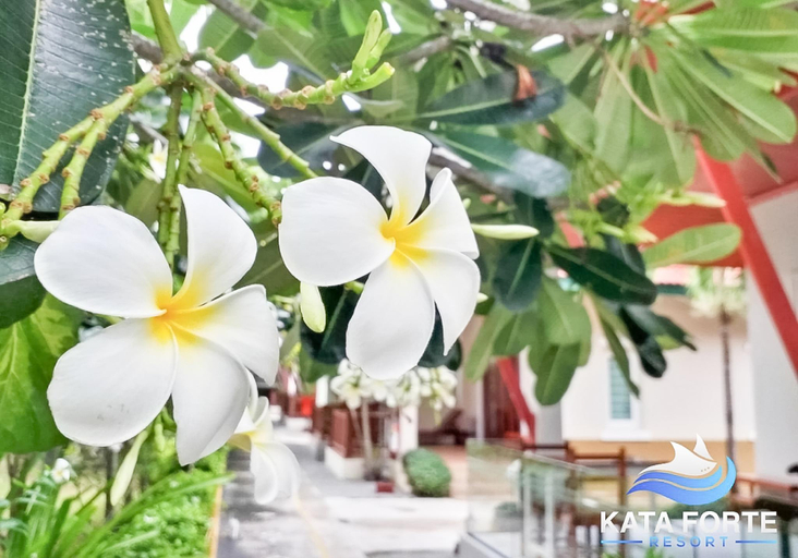 Food & Drinks 5, Kata Forte Resort, Phuket Island