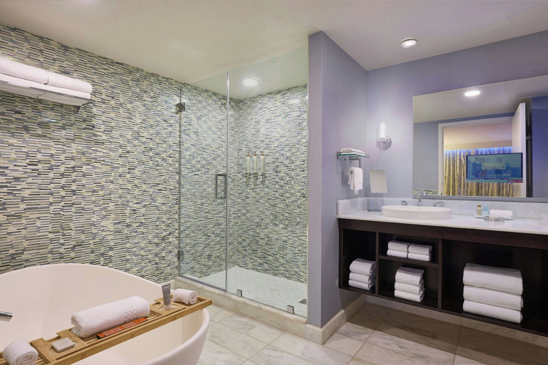 Bathroom 4, Renaissance Arlington Capital View Hotel, Arlington