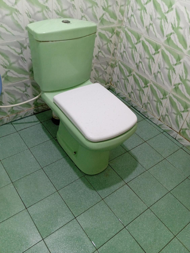 Bathroom 3, Nallur Mylooran Arangam C, Nallur