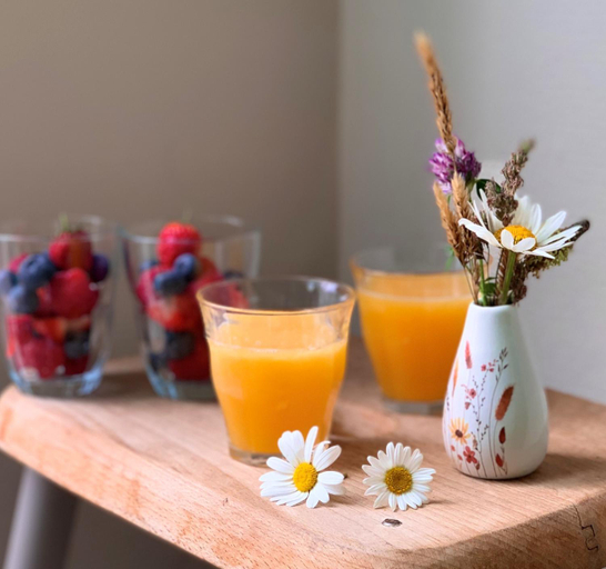 Others 3, Vakantiehuis Bed en Breakfast in de Tuin, Midden-Drenthe