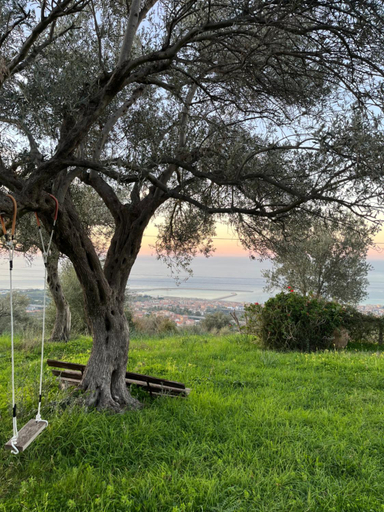 Garden 5, Agriturismo Serre, Messina