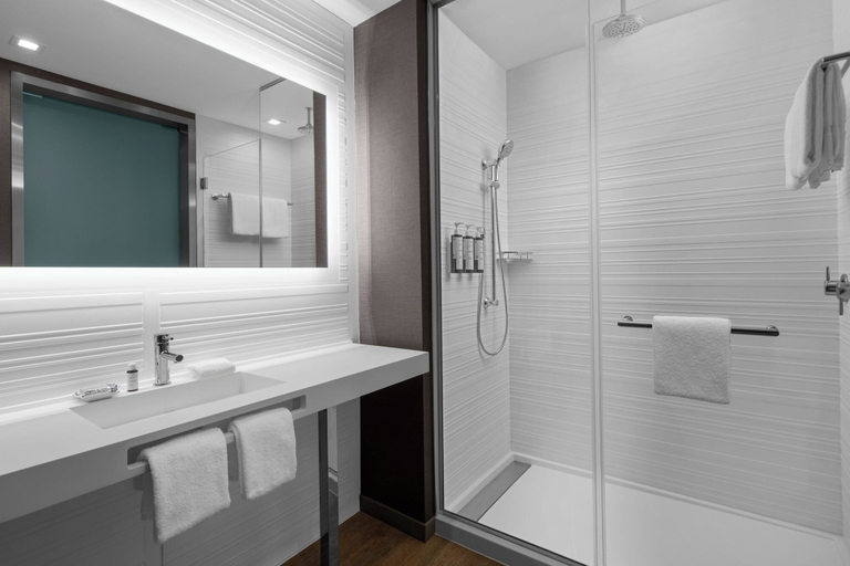 Bathroom 4, AC Hotel Clearwater Beach, Pinellas