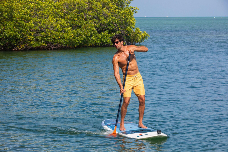 Others 4, Three Waters Resort And Marina, Islamorada, Monroe