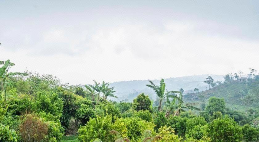 3, Shankara Munduk Bali, Buleleng