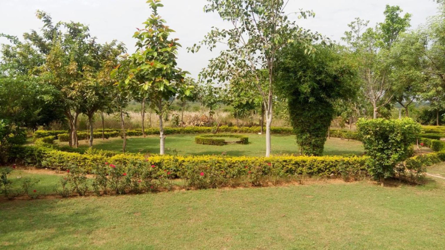 Others 4, An Authentic Village Farm (Jhansi,UP), Tikamgarh