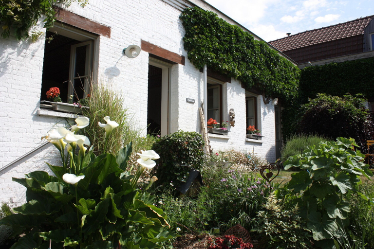 Exterior & Views, L'Atterrissage, Nord