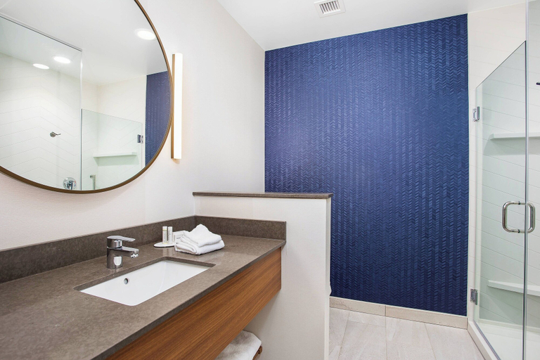 Bathroom 4, Fairfield Inn & Suites by Marriott Pigeon Forge, Sevier