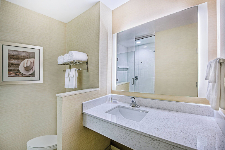 Bathroom 4, Fairfield Inn & Suites by Marriott Van Canton Area, Van Zandt