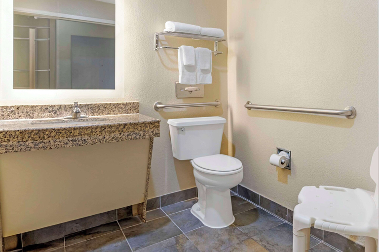 Bathroom 4, Comfort Inn Meridian - Bonita Lakes, Lauderdale