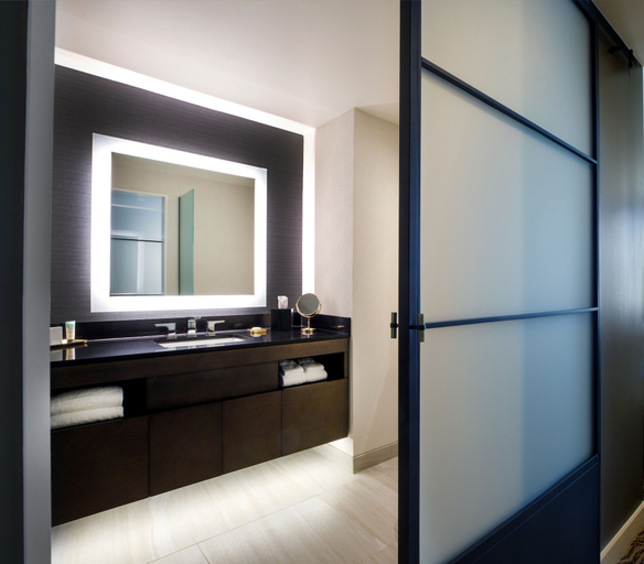Bathroom 5, Hotel Vin, Grapevine, Autograph Collection, Tarrant