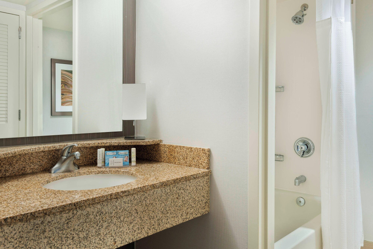 Bathroom 3, Courtyard by Marriott Asheville, Buncombe