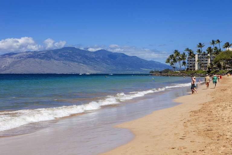 Others 5, Maui Banyan, Maui
