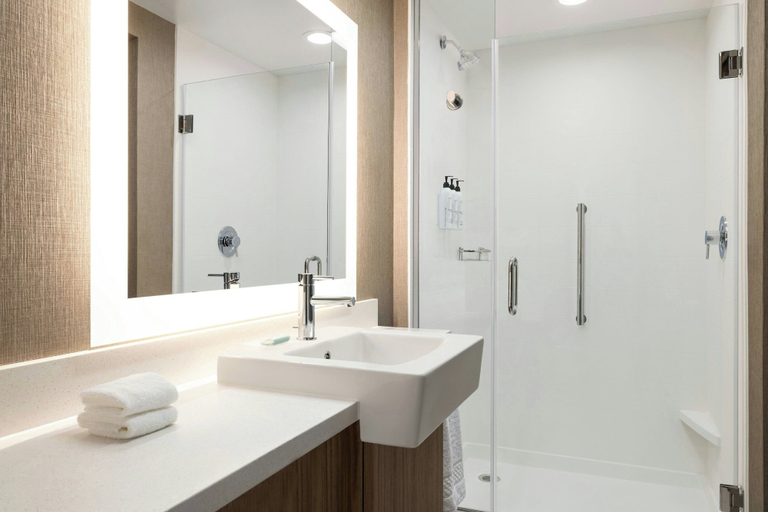 Bathroom 4, SpringHill Suites® by Marriott® Easton Bethlehem, Northampton