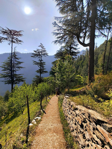 5, Pin Parvati Wooden Cottages - Hidden Monkey Experiences, Kullu