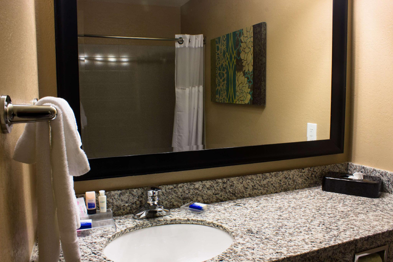 Bathroom, Best Western Plus Menomonie Inn & Suites, Dunn
